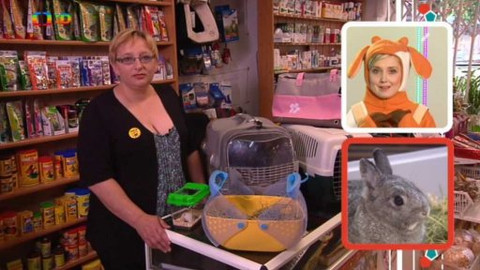 Telefon - 28. června 2015