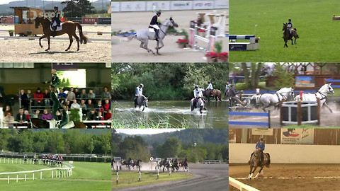 Koně a sport - 20. srpna