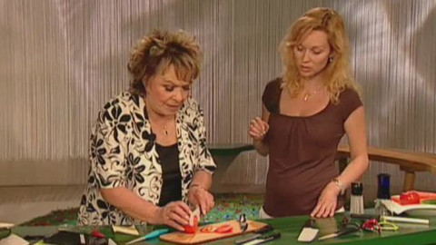 Dobrá rada nad zlato - 5. září 2009