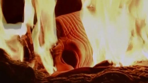 Interpol - 13/13 Nebezpečný společník