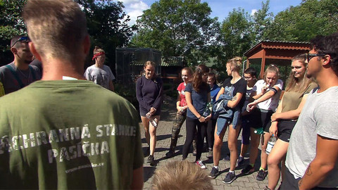 Nedej se! - Pomáháme, těm co pomáhají