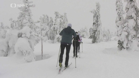 Běžkotoulky - Strážné