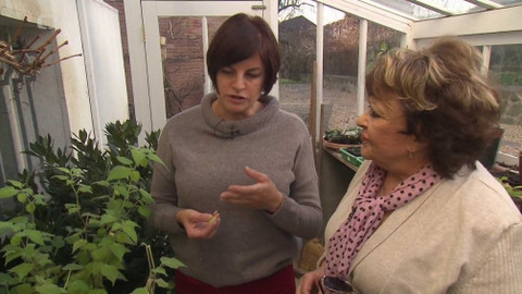 Hobby naší doby - 16. března 2019