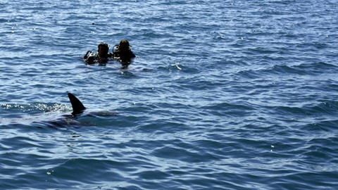 Přežít! - Nebezpečný ponor