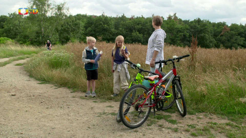Hravě to zvládneme! - Okolo kola