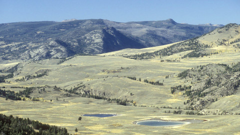 Přírodní mikrosvěty - Yellowstonský národní park