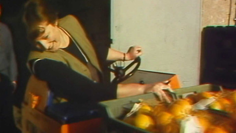 Archiv dne - 19. prosinec 1985: Ovoce bude dostatek