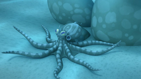 Leo, strážce přírody - Chobotnice maskovaná