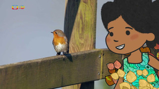 Velká kniha o zvířátkách II