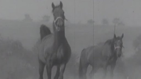 Sportovní vzpomínky - Pardubické vzpomínky II.