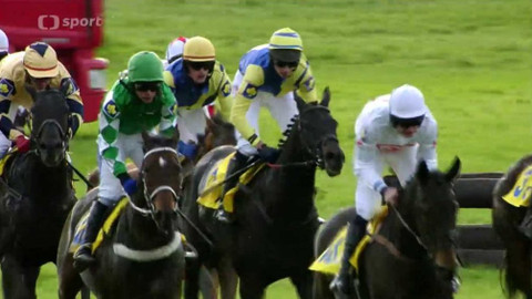 Velká pardubická - 2012