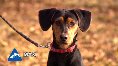 Chcete mě? - Chcete je?