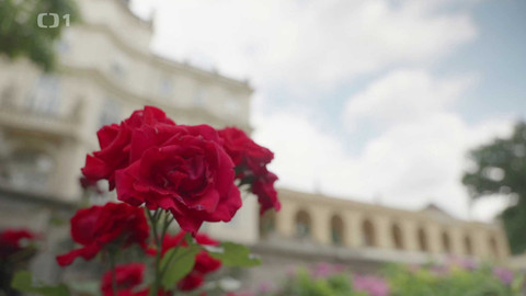 Toulavá kamera - 28. července 2024