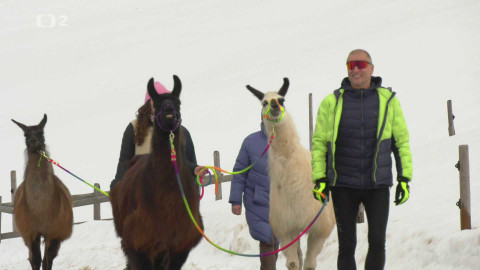 Běžkotoulky - Pillerseetal