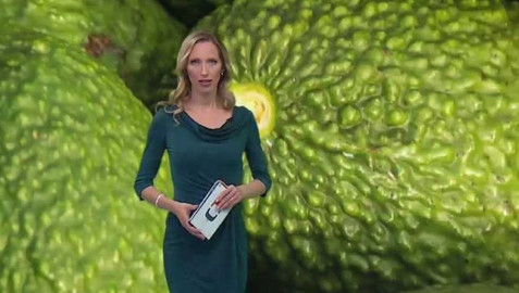 Horizont ČT24 - 25. června 2018