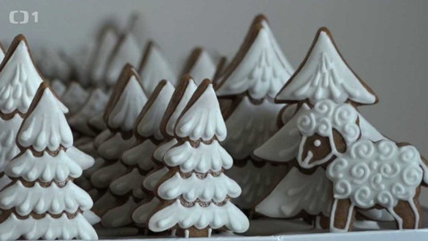 Toulavá kamera - 18. prosince 2016