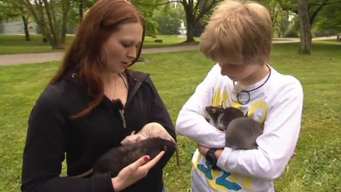 Náš zvěřinec - Potkal potkan potkana