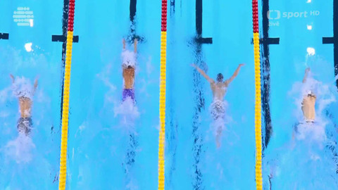 MS v plavání 2025 Singapur - MS Singapur