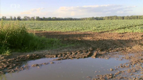 Nedej se! - Nadace pro půdu