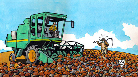 Na houby - 12/13 V pěstírnách