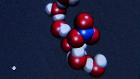 Popularis - 25. března 2004