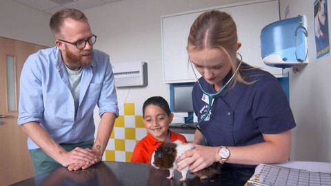 Můj mazlíček a já - 4/25 Můj mazlíček a já - u veterináře II.