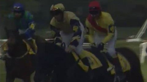 Sportovní vzpomínky - Pardubické vzpomínky IV.