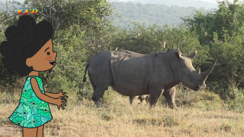 Velká kniha o zvířátkách - Epizoda 39/52
