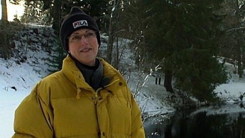 City Folk - Sundsvall, 2009