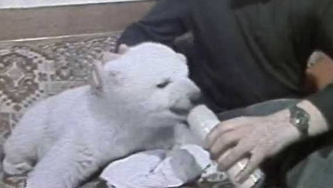 Archiv ČT24 - Zvířata a zvířátka