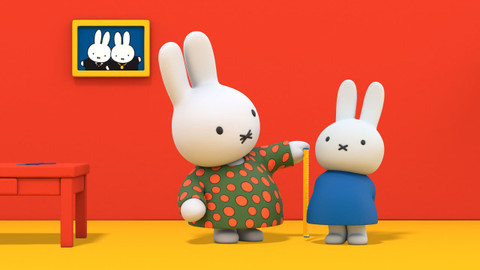 Miffy a její dobrodružství - 60/78 Miffy a sváteční šaty