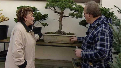 Dobrá rada nad zlato - 16. prosince 2006