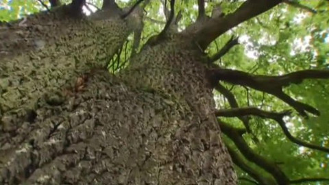 Nedej se! - Prudké klimatické výkyvy