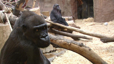 Z metropole - 8. prosince 2012