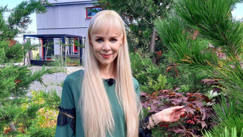 13. komnata - 13. komnata Jany Fabiánové