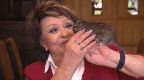 Hobby naší doby - 23. listopadu 2013