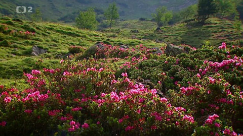 Dobrodružství vědy a techniky - Alpská krása