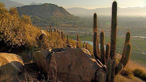 Putování za vínem - 6/16 Chile I