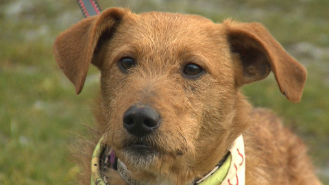 Chcete mě? - Chcete je?