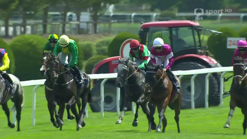 Dostihy - České derby