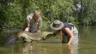 Zpátky do přírody