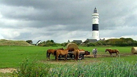 Objektiv - 9. srpna 2009