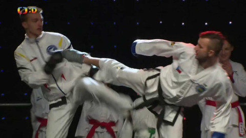 Lvíčata – Olympijské festivaly - 15. února 2018