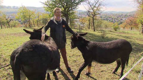Nedej se! - Berounská zeleň po pěti letech