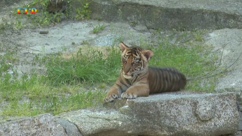 Zprávičky - 19. května 2024