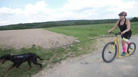 Vertikal - 30. května 2018