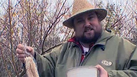 Zahrada je hra - 12. února 2006