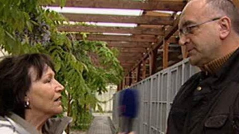 Chcete mě? - Chcete je?