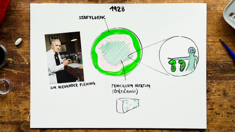 What the Fact? - Jak fungují antibiotika?