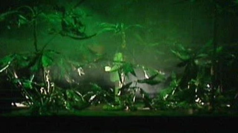 Divadlo žije! - 18. října 2008